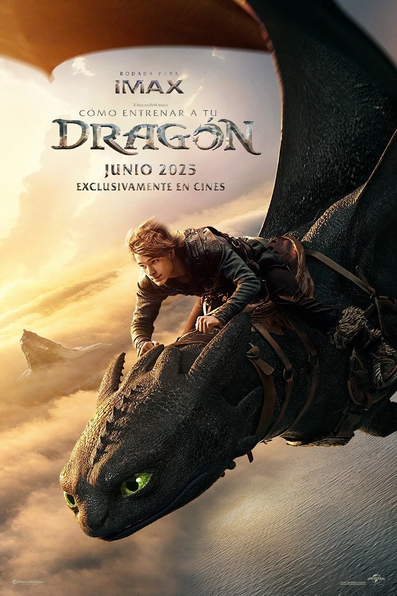 Poster de la película "Cómo entrenar a tu dragón"