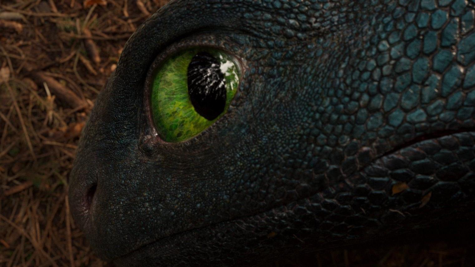 how to train your dragon 196770600 large