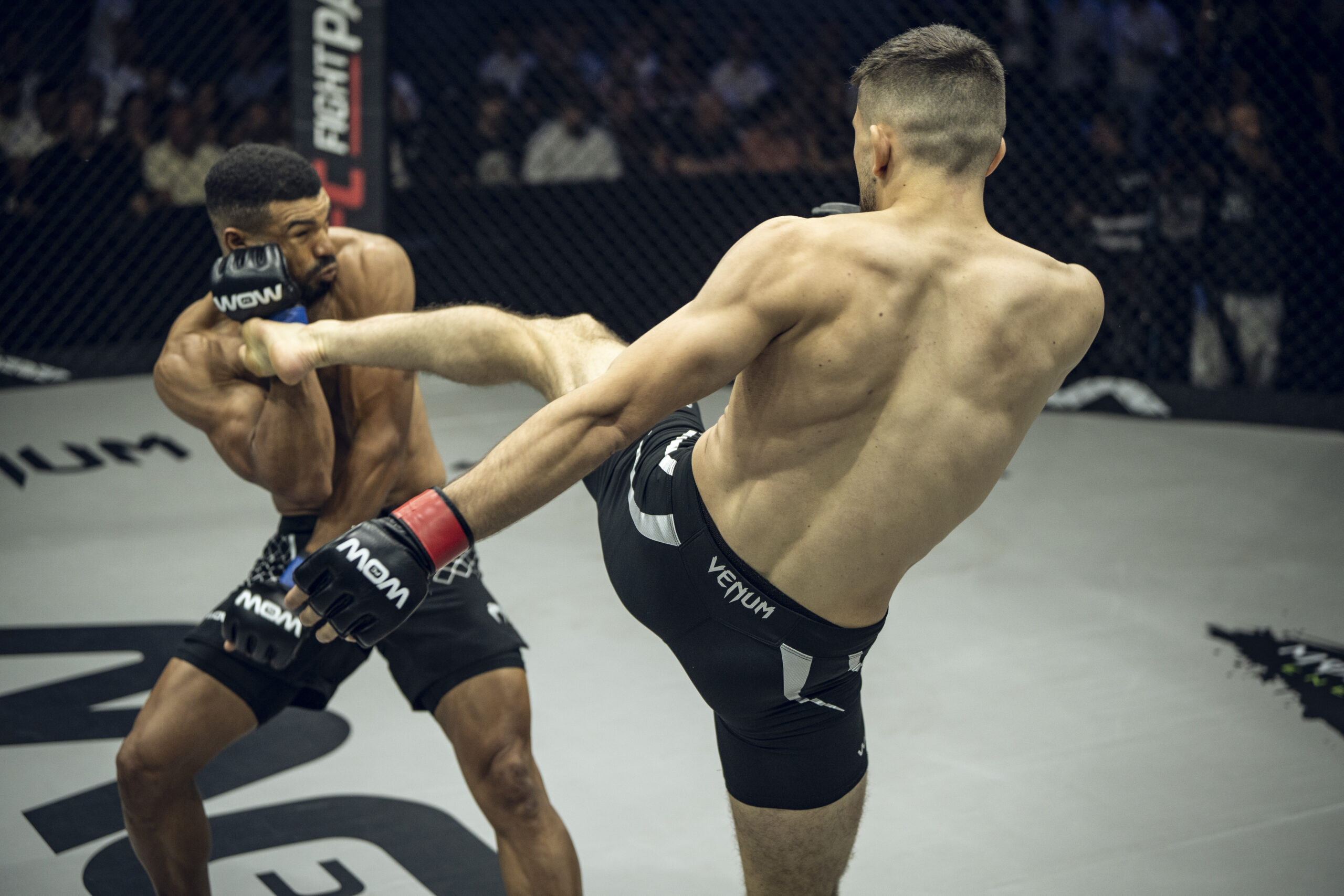 WOW 22 en Madrid A743132 scaled