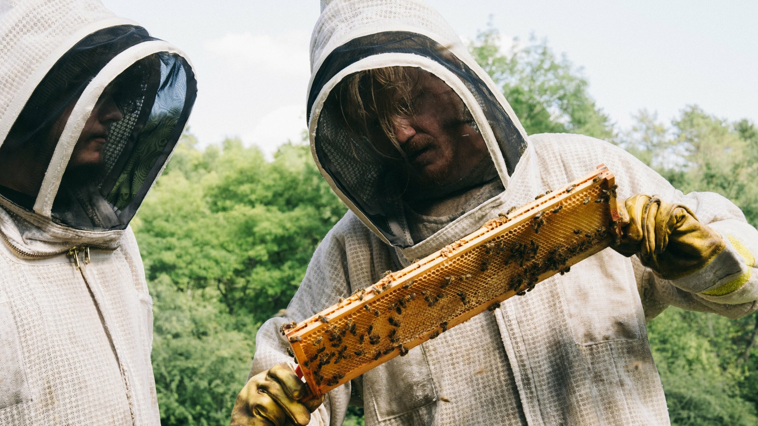 Critica "Bugonia" Imagen de la película ""