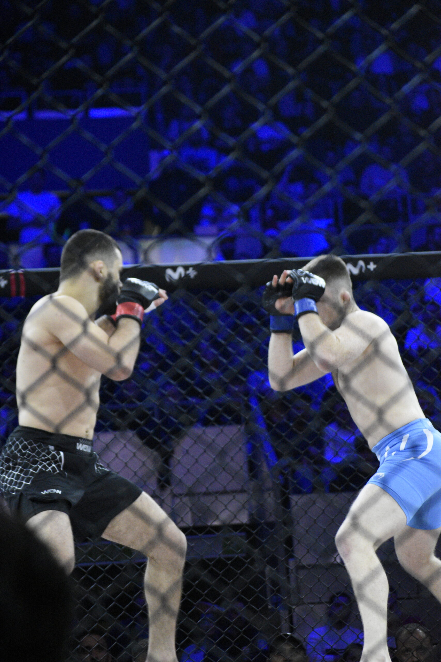 Crónica WOW 25: El Madrid Arena Explota con Sorpresas DSC0148 scaled